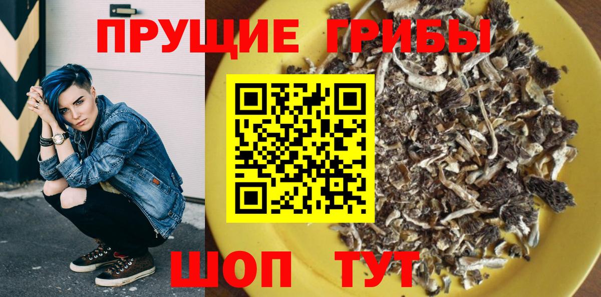 Псилоцибиновые грибы мицелий Муром