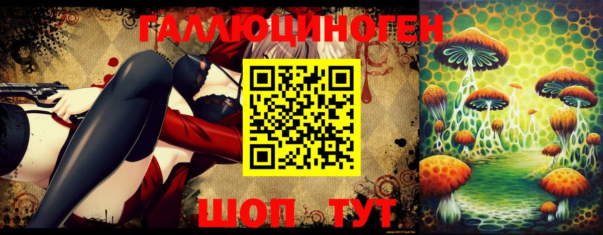 купить   Вход с VPN  Муром  Галлюциногенные грибы мицелий 